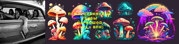 спиды Бородино