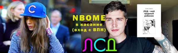 соль ск Богородицк
