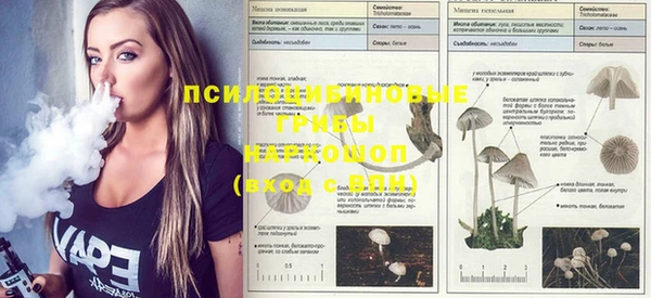 каннабис Богданович