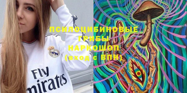 соль ск Богородицк