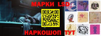 a pvp Новодвинск