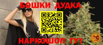 a pvp Новодвинск