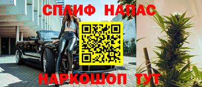 гидра Новозыбков