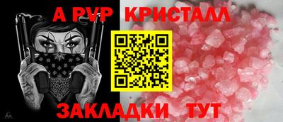 гидра Новозыбков