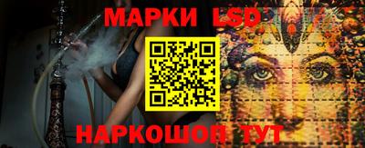 a pvp Новодвинск