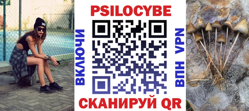 блэк спрут ссылки  Валуйки  Галлюциногенные грибы Psilocybine cubensis 