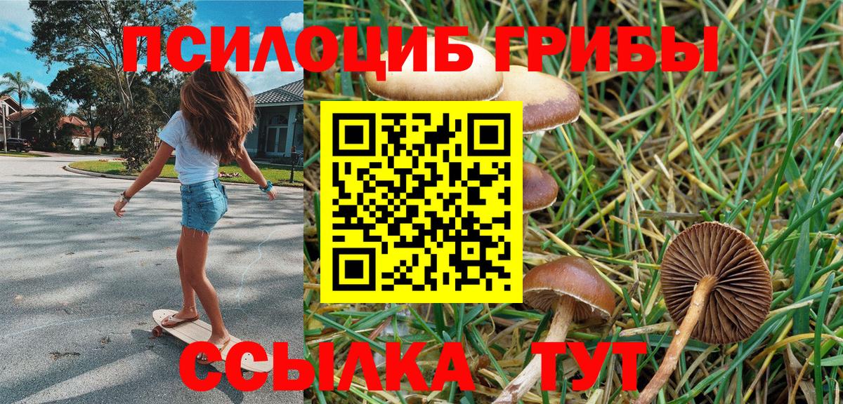 Галлюциногенные грибы Psilocybine cubensis Валуйки
