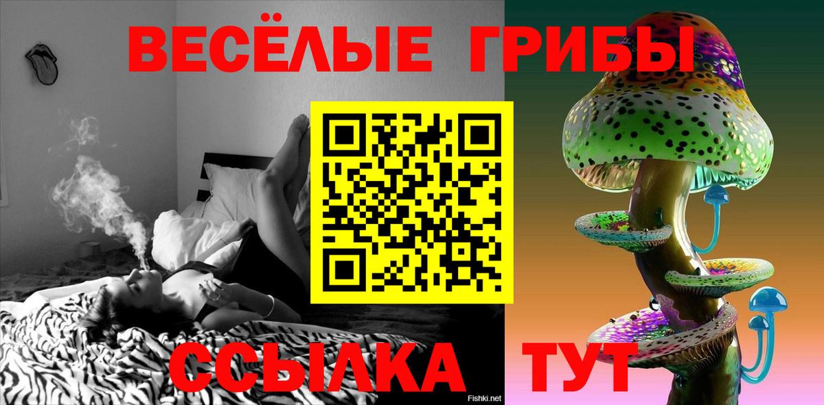 Валуйки  Псилоцибиновые грибы Psilocybe  Вход с VPN 